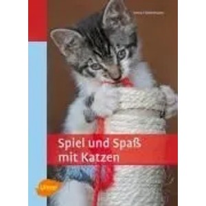 Spiel und Spaß mit Katzen
