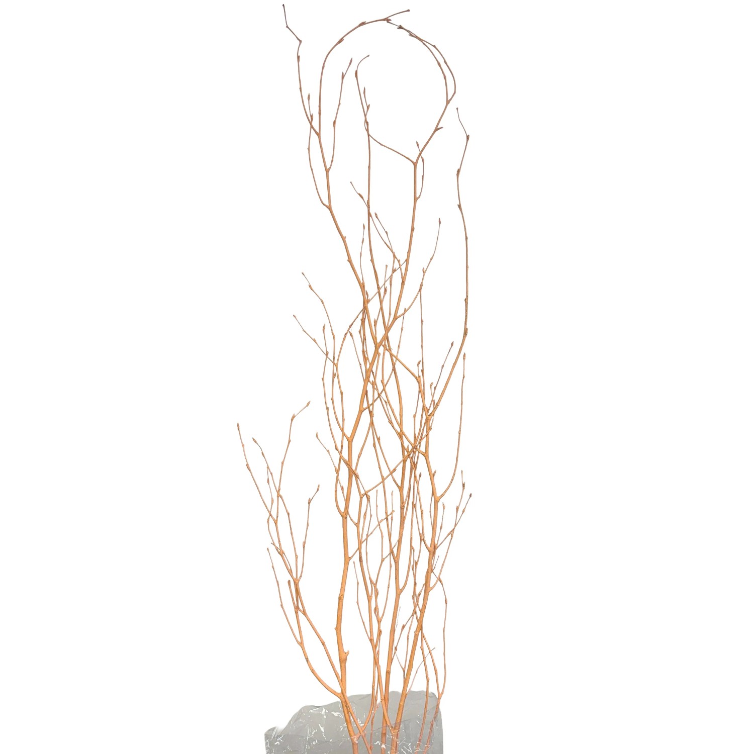 Birkenzweige Trockenfloristik Bund Betula ca. 110 cm Pastellorange kaufen  bei OBI