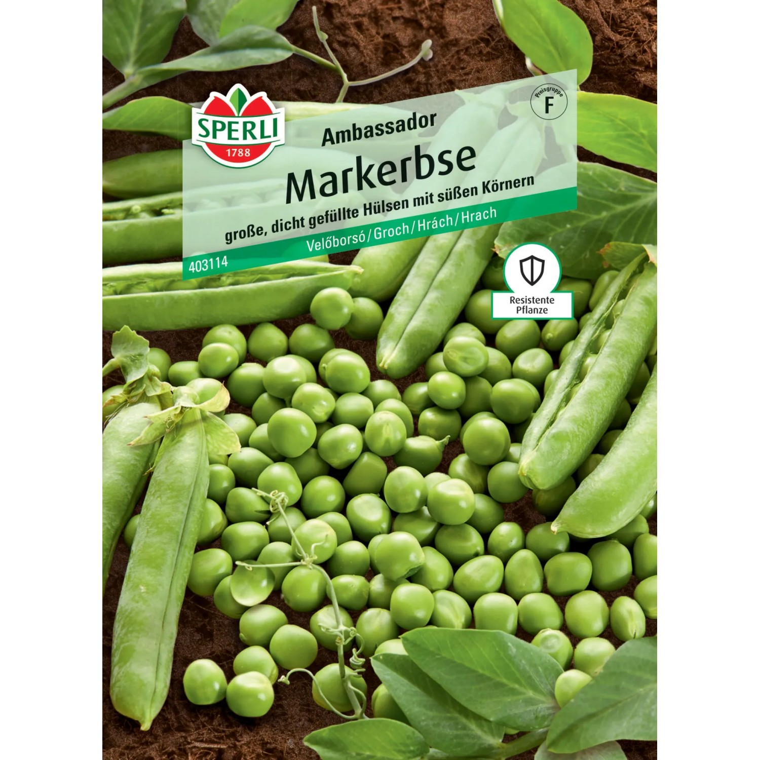 Sperli Markerbse "Ambassador"