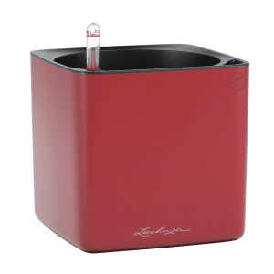 Lechuza CUBE Color 16 Scarlet: Quadratischer, roter Übertopf mit Bewässerungssystem.