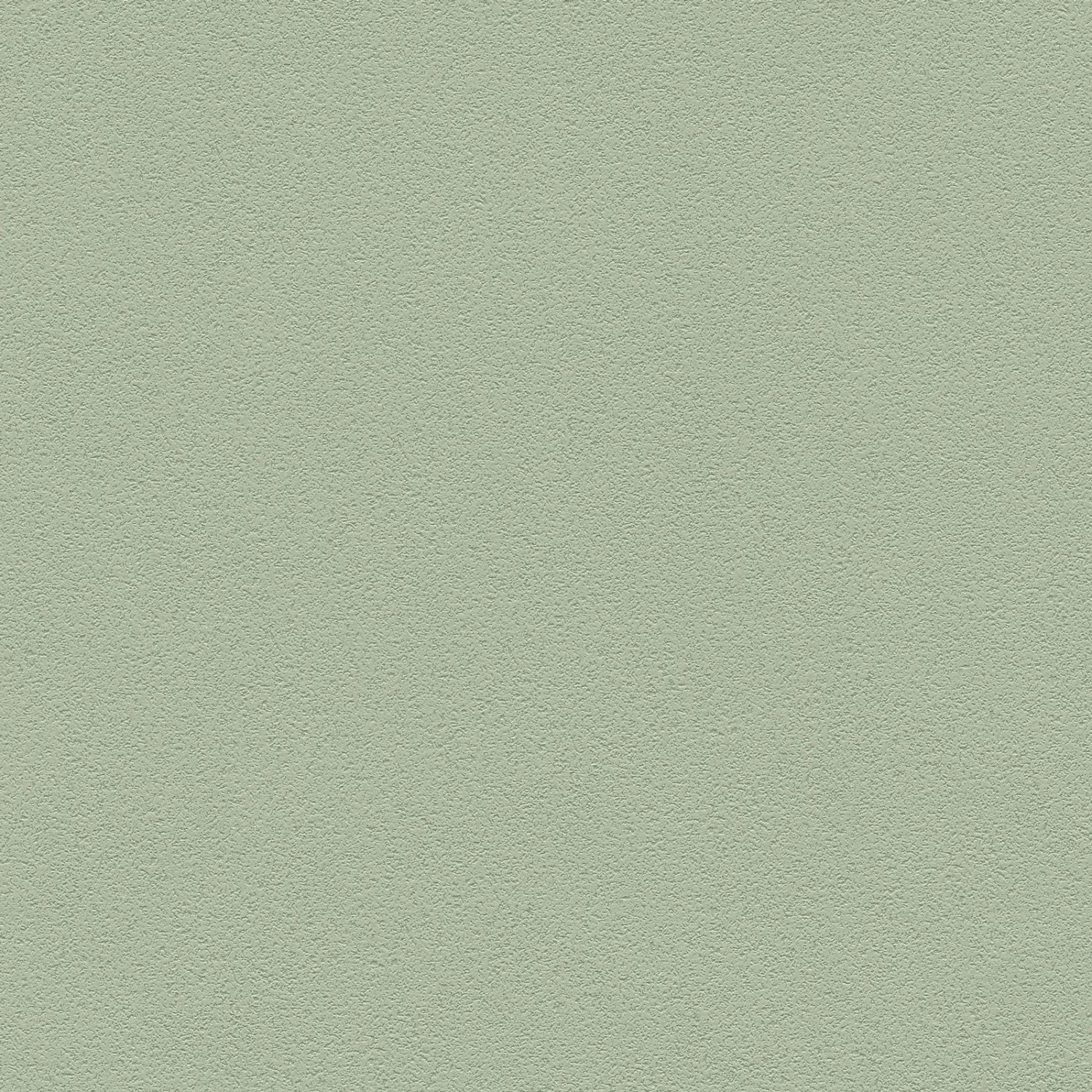 Bricoflor Uni Tapete in Salbeigrün Moderne Einfarbige Vliestapete in Olivgrün Ideal für Wohnzimmer und Büro Salbei Wandt