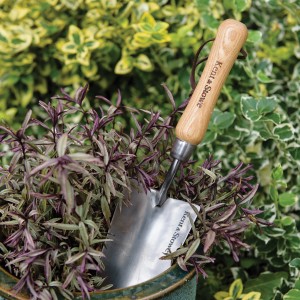 Kent & Stowe Handschaufel aus Edelstahl mit Holzgriff im Pflanzgefäß.
