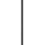 Schwarze Ledvance Smart+ WiFi Stehlampe Boden Ecke, 142 cm hoch.