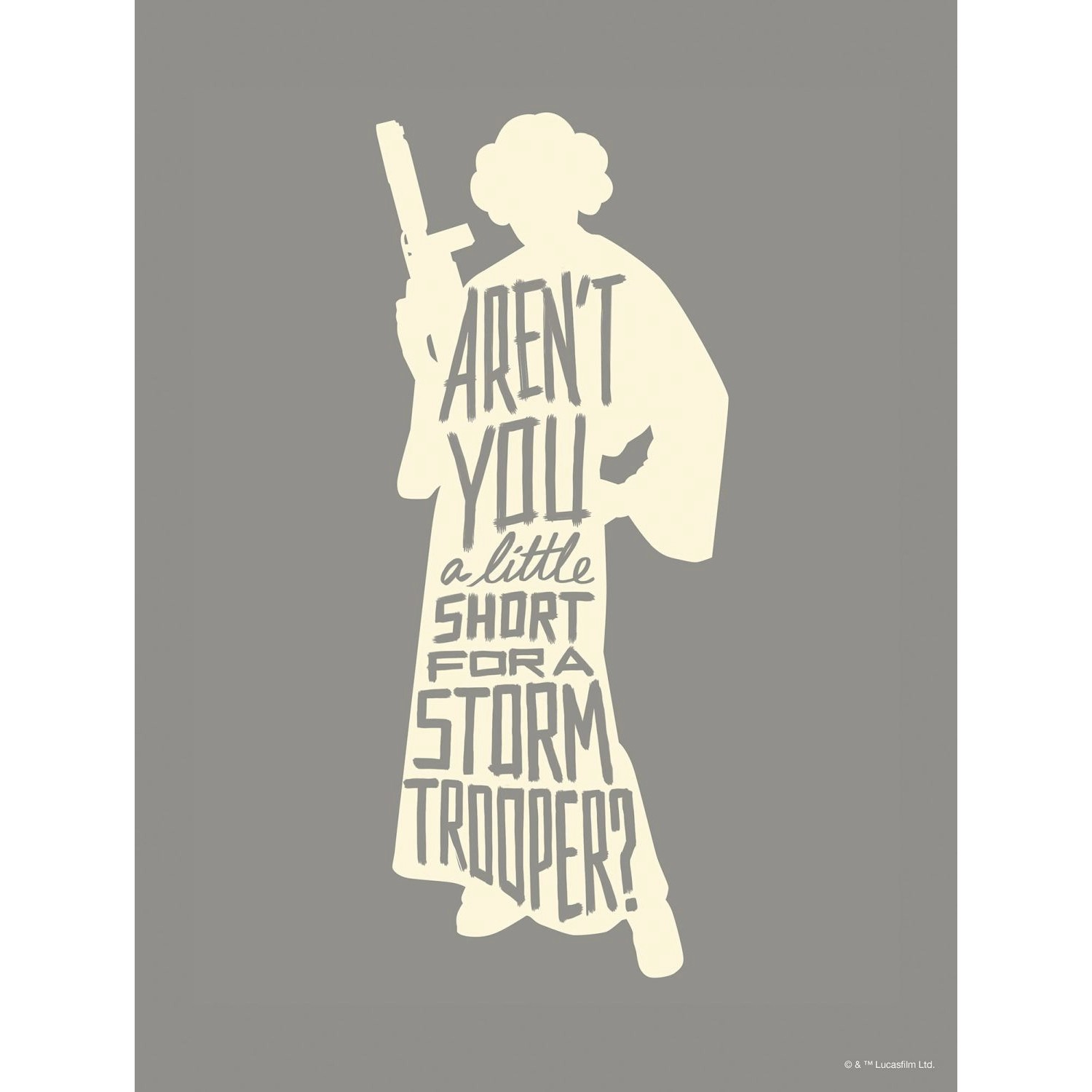 Disney Poster Leia Quotes Grau 30 x 40 cm 612162