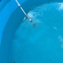 Pool-Handsauger im Einsatz: Akku-Poolsauger reinigt Pool von Schmutz.