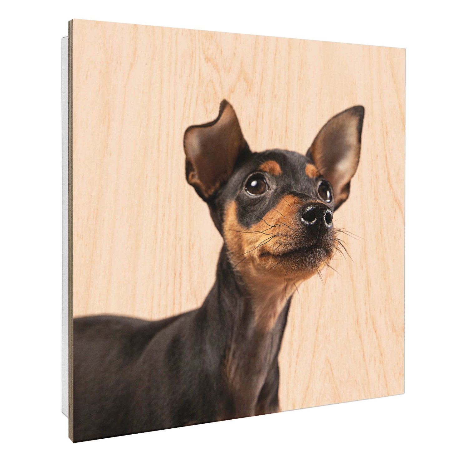 Banjado Schlüsselkasten mit Holzfront 30x30cm Weiß Scharnier Links 50 Haken günstig online kaufen