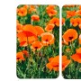 Wenko Herdabdeckplatten Mohnfeld, 2er-Set Universal für alle Herde, mit Mohnblumen-Motiv.
