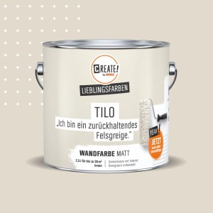 CREATE! by OBI Wandfarbe Lieblingsfarbe Tilo Felsgreige Matt 2,5 l