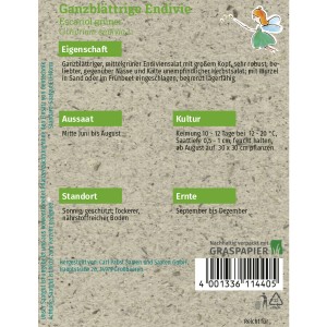 Saatguttütchen Grüne Fee Endivie: Ganzblättriger Endiviensalat für den Herbstanbau.