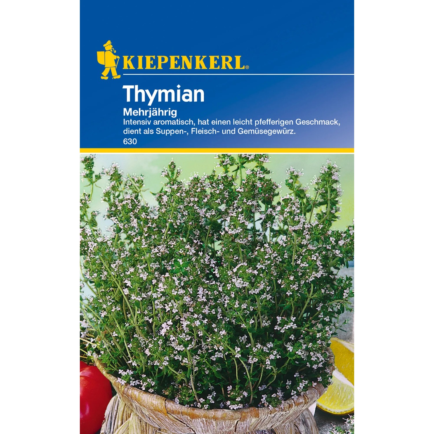 Kiepenkerl Thymian mehrjährig im Topf, Kräutersamen für aromatische Gerichte.