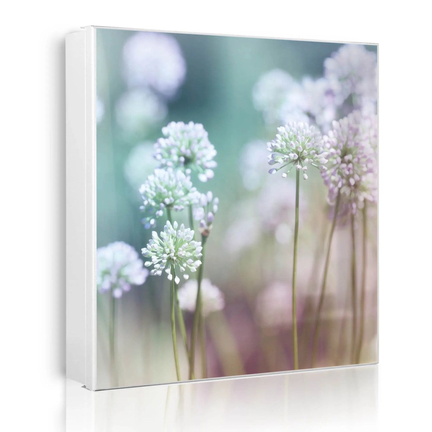 Banjado Großer Schlüsselkasten Metall 30x30cm Weiß Scharnier Links 50 Haken Beschreibbar Magnetisch Motiv Lauchblüte