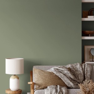 Wandgestaltung mit V&CO Premium-Innenfarbe in Grün (Kleiner Wald). Matte, grüne Wandfarbe im Wohnraum.