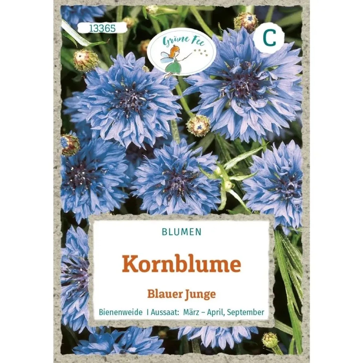 Grüne Fee Kornblume Blauer Junge Saatgut