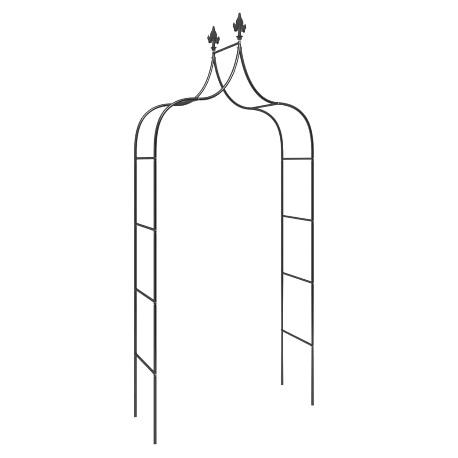 Zwei schwarze vidaXL Gartenbögen aus Stahl, 120x38x260 cm, für Kletterpflanzen.