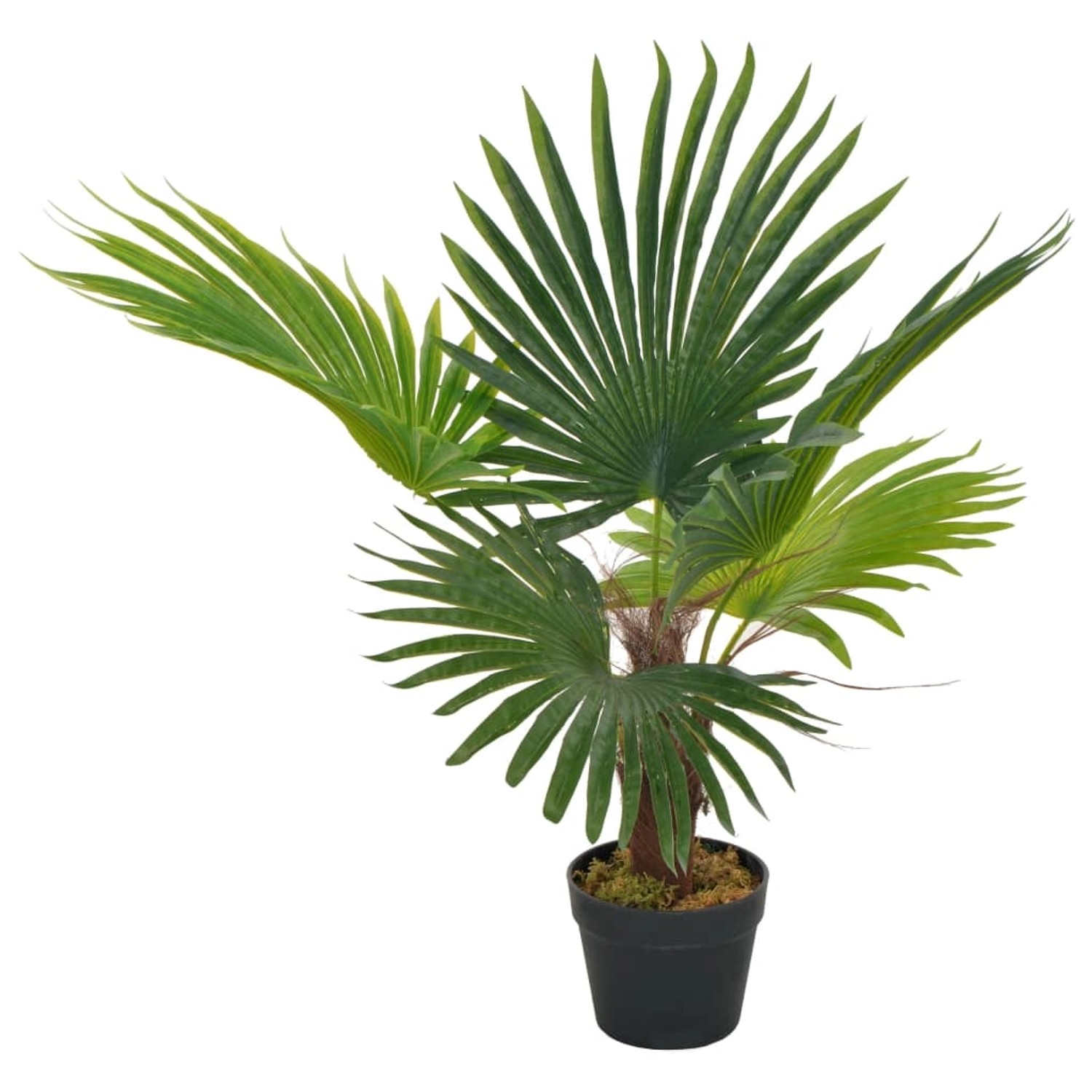 furnicato Künstliche Pflanze Palme mit Topf Grün 70 cm