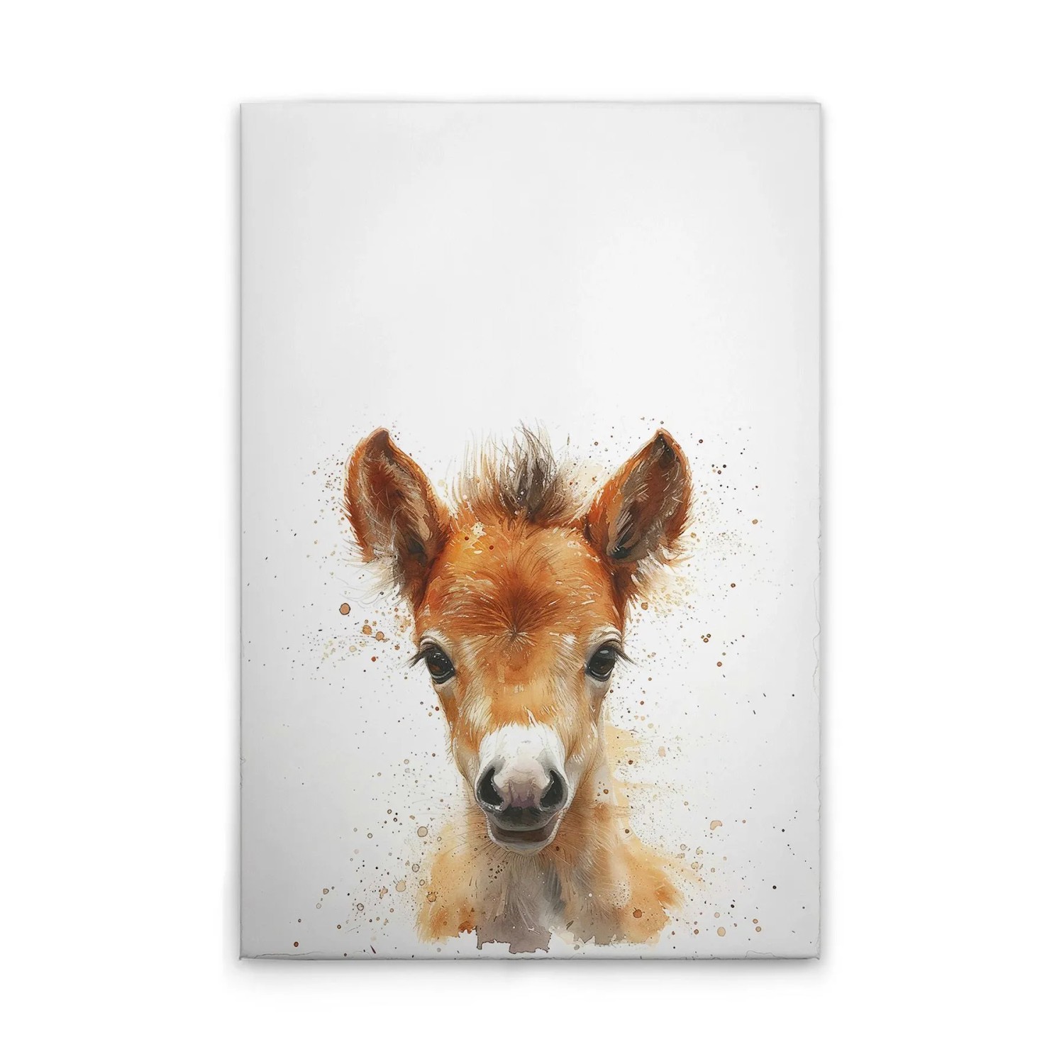 Tadessi Leinwandbild - M1-No.51915 - Baby Fohlen - 60 x 90 cm - Querformat
