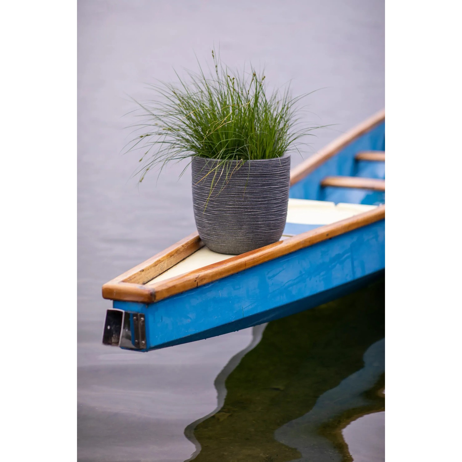 Grauer Capi Topf Waste Rib 35x34 cm mit Pflanze auf blauem Boot.