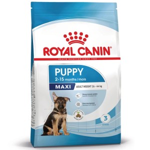 Royal Canin Maxi Puppy Trockenfutter 15 kg für Welpen großer Rassen. Blaue Packung mit Schäferhundwelpe, unterstützt Wachstum & Abwehrkräfte.