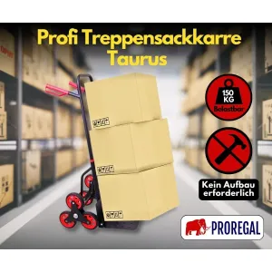 PROREGAL Treppensteiger TAURUS mit Kartons, Stahlrahmen, roten TPR-Rädern. Traglast 150 kg.