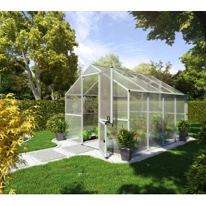 KGT Gewächshaus Enzian IV Pressblank im Garten mit geöffneter Tür und Pflanzen.