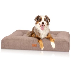 Beiges Knuffelwuff Hundebett Sofia, orthopädisch, 120x100cm mit Hund.