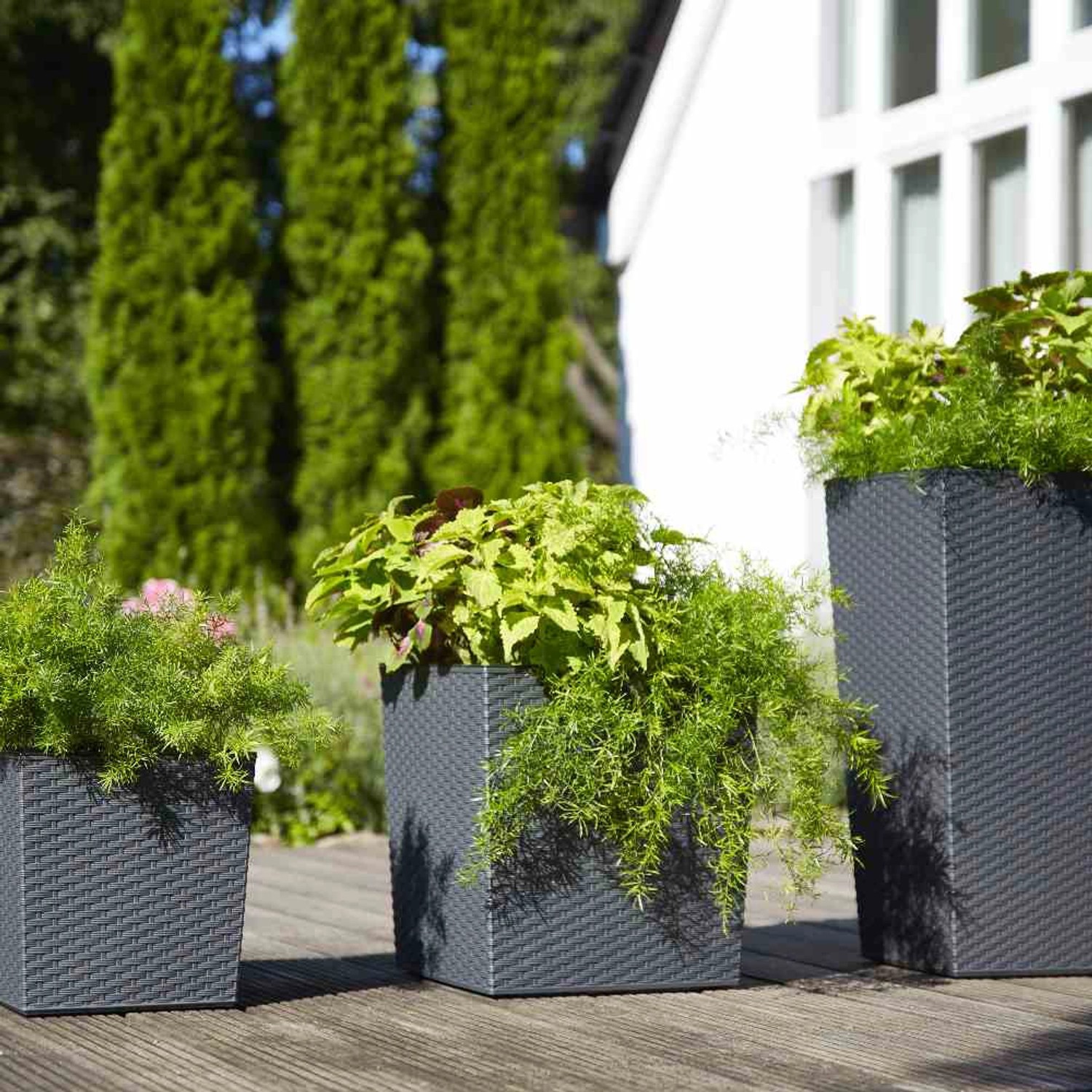 Siena Garden Pflanzgefäße Nizza Graphit, verschiedene Größen. Pflanzsäulen mit Rillenoptik.