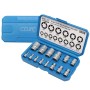 CCLIFE 14-tlg. Torx Nuss Set E4-E24 im blauen Koffer. Steckschlüssel Satz für Schraubenzieher.