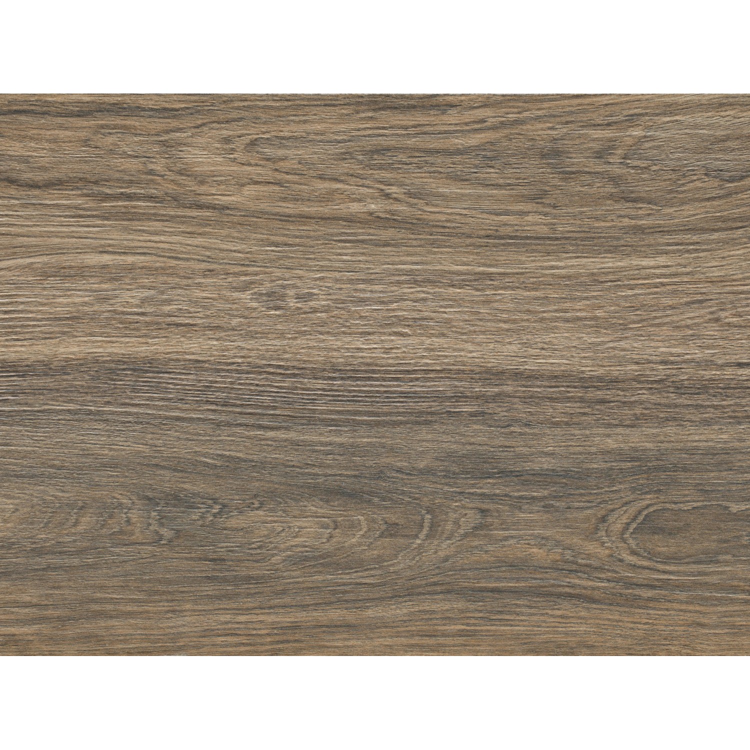 Bodenfliese Tizura Feinsteinzeug Braun Glasiert 29,7 cm x 59,8 cm