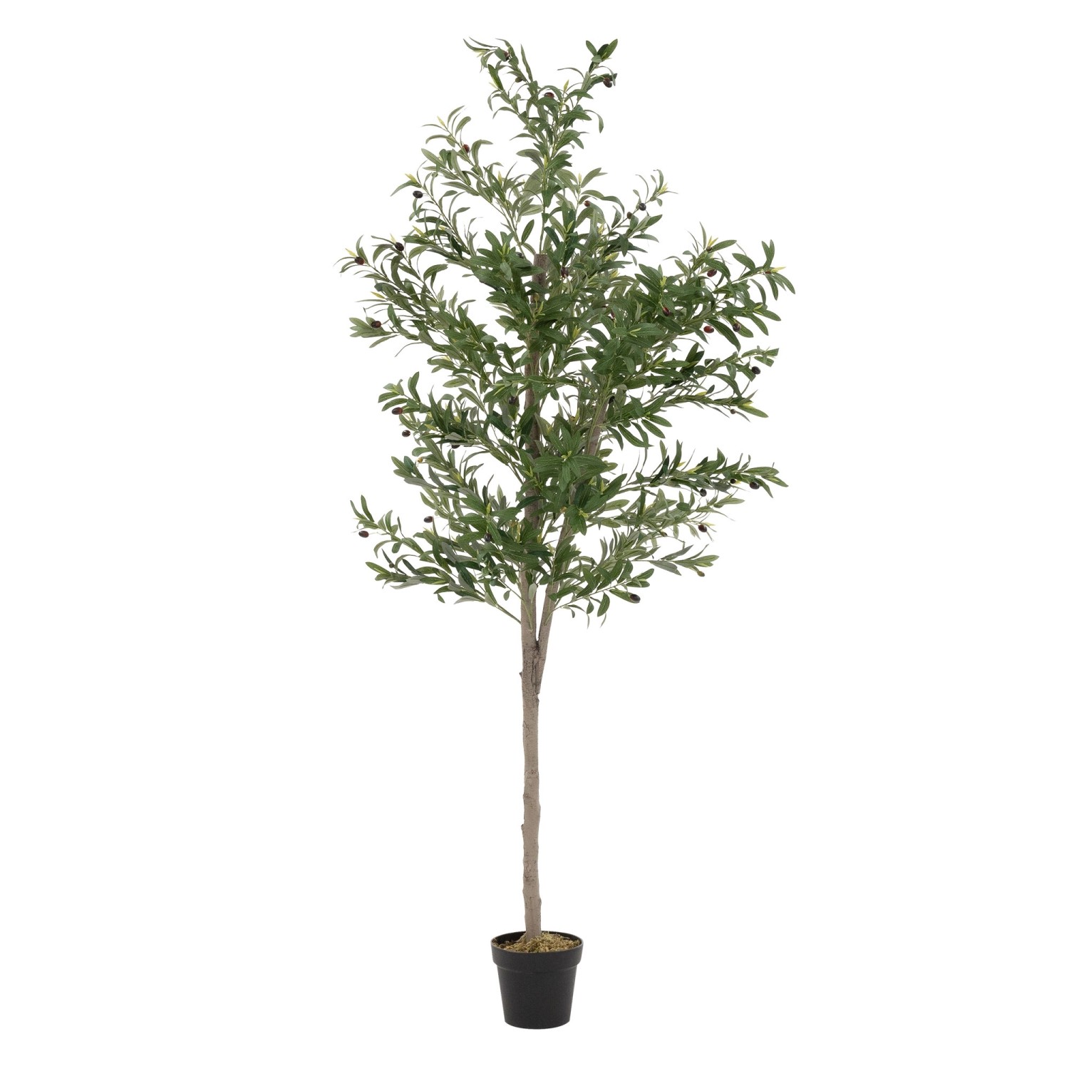 ML-Design Künstlicher Olivenbaum im Topf 210cm Groß mit Naturholzstamm günstig online kaufen