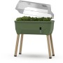 Gusta Garden Anzuchtsgefäß Sammy Salad, 15 L, dunkelgrün, mit Holzbeinen und transparenter Haube.