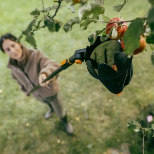 Fiskars Obstpflücker OneClick in Aktion: Frau erntet Äpfel vom Baum mit dem Kombisystem.