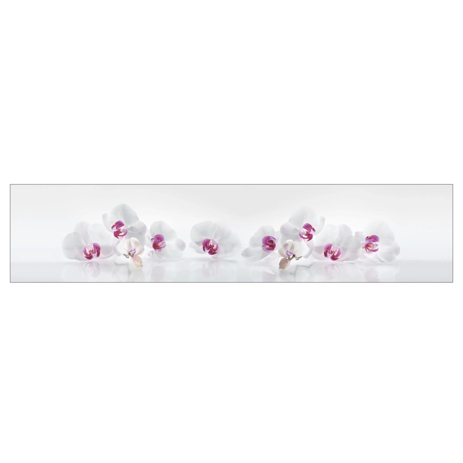 MySpotti Küchenrückwand Profix Cucina Orchidee 270 x 60 cm Lila-Weiß