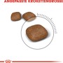 Royal Canin Urinary Care Katzenfutter: Kroketten in angepasster Größe für gesunde Harnwege.