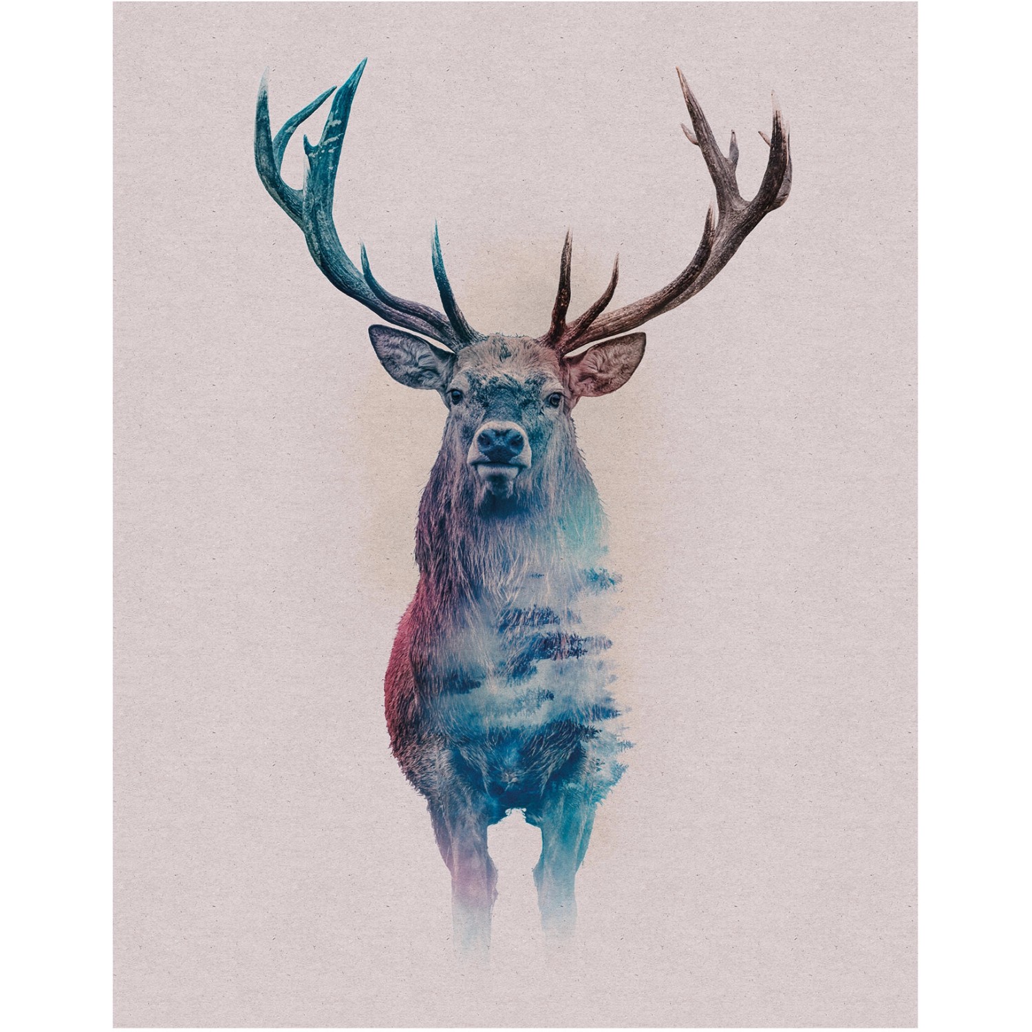 Komar Wandbild Animals Deer 40 x 50 cm