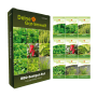Deine Gartenwelt Grill Kräuter Samen-Set mit 9 Sorten