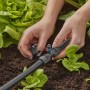 Gardena Sprühdüse 360° im Einsatz zur Bewässerung von Gemüsebeeten. Micro-Drip-System.