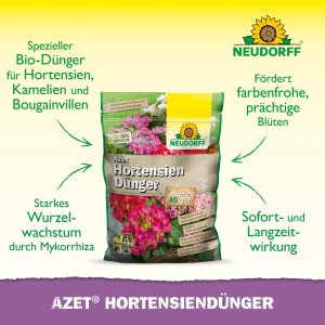 Neudorff Azet Hortensiendünger 1,75 kg für kräftige, farbenfrohe Blüten. Organischer Dünger mit Langzeitwirkung.