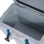 Offene graue Lifetime Kühlbox, 26,5 Liter, Campingbox mit blauem Akzent.
