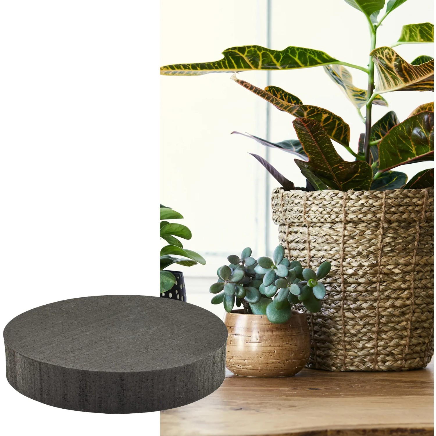 Schwarze Wagner Topffüße (4er-Set, Ø 40 mm) unter Pflanztöpfen zum Schutz vor Kratzern und Staunässe.