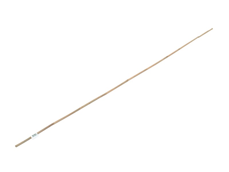 OBI Bambusstab 150 cm · Ø ca. 1 cm – Produktbild 1 von 2