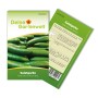 Samenpackung 'Deine Gartenwelt Salatgurke Tanja'. Bitterfreie Salatgurken Samen.