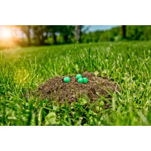 Windhager Maulwurfabwehr Kugeln auf Maulwurfshügel im Garten.