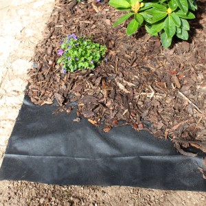 Schwarzes Windhager Unkrautvlies Basic im Gartenbeet unter Mulch und Pflanzen.