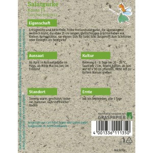 Saatgutpackung Grüne Fee Salatgurke Konsa F1, geeignet für ca. 20 Pflanzen.