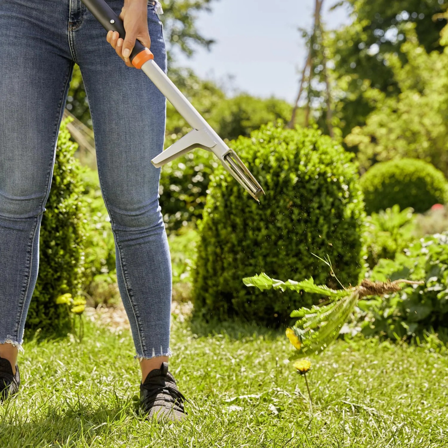 Gardena Unkrautstecher im Einsatz: Unkrautentfernung im Garten ohne Bücken.