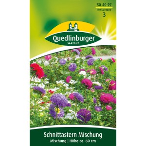 Quedlinburger Schnittastern 'Mischung' Blumensamen mit bunten Blüten im Gartenbeet.