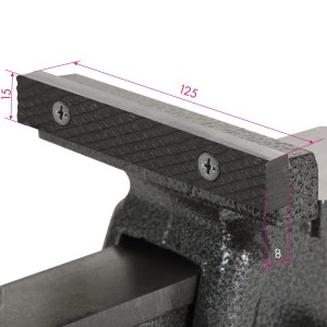 Detailaufnahme: EBERTH Schraubstock mit 125mm Backenbreite. Spannwerkzeug aus Gusseisen.