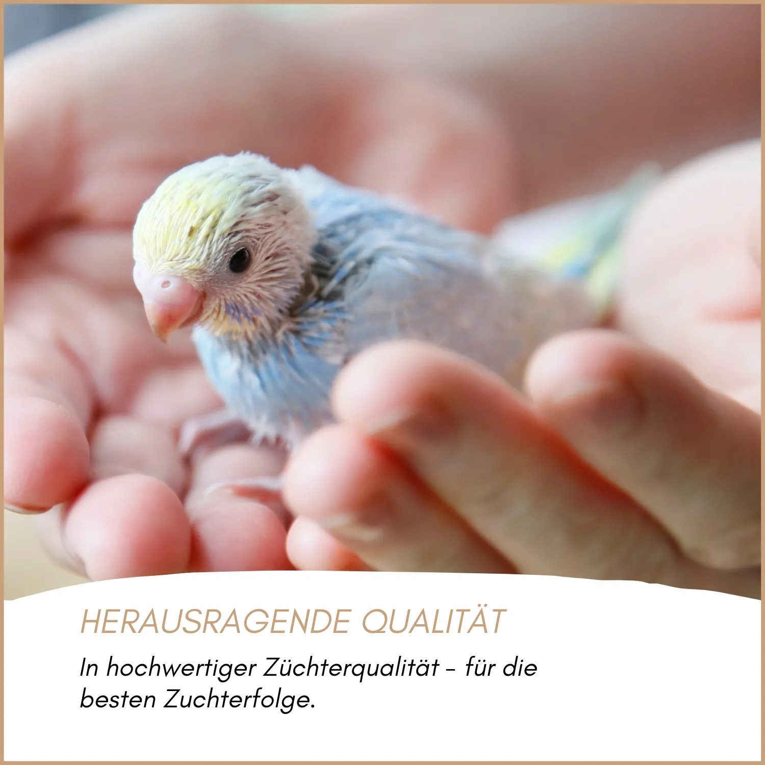 Supravit Supra Gritmineral Mineraliengrit für Vögel_4