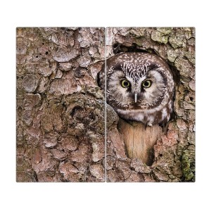 Banjado 2-teilige Herdabdeckplatte aus Glas mit Eulenmotiv, auch als Schneidebrett nutzbar.