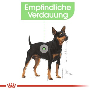 Royal Canin Digestive Care Nassfutter für Hunde mit empfindlicher Verdauung, 85g